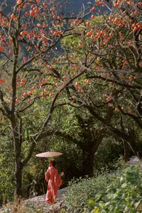 YiTuYu Art Language Vol. 7752: Featuring the Captivating Xiao Shang Guan - image 9