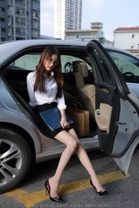 IESS Xiao Liu In-Car Office Fashion Gallery: Professional Style on the Move - image 4