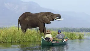 Witness the majestic African Elephants in the pristine 'land of divine lakes'. - image 5
