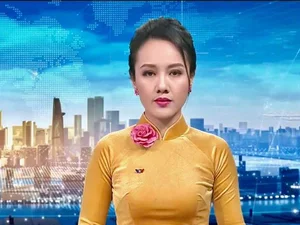 Elegant Vietnamese Ao Dai Collection: Iconic Fashion Styles of a Renowned TV Editor - image 1