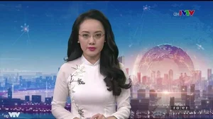 Elegant Vietnamese Ao Dai Collection: Iconic Fashion Styles of a Renowned TV Editor - image 3