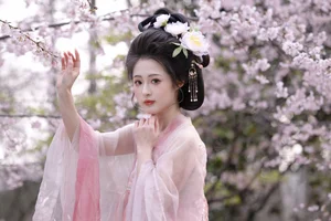 Captivating Visuals: YiTuYu Art Language Vol.7504 Yu Yuan Yi Wan Collection - image 8