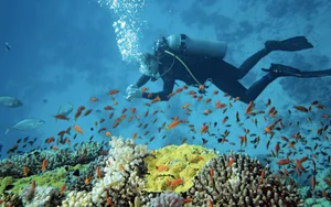 Adventure Awaits: Exploring Vietnam's Hidden Caves and Mountains - image 9