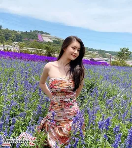 Thai Thao Nguyen: Exploring the Style of Da Nang’s Number One Influencer - image 14
