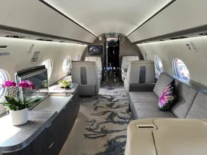 Inside Jeff Bezos's Multi-Million Dollar Private Jet: The Ultimate in Luxury Travel - image 9