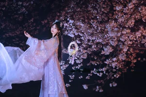 Captivating Visuals of Zhou Zhou AY: YiTuYu Art Language Vol.6366 - image 2