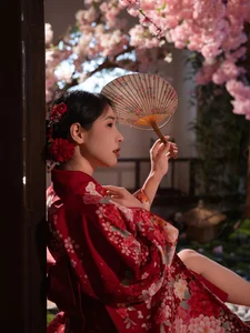 Capturing the Essence of Dan Dan in YiTuYu Art Language Vol.6608 - image 20