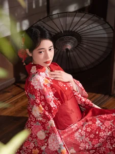 Capturing the Essence of Dan Dan in YiTuYu Art Language Vol.6608 - image 30