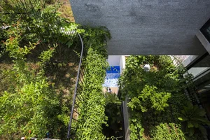 Modern Split-Level House with Unique Urban Garden in Ho Chi Minh City - image 7
