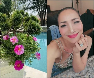 Inside Hong Ngoc’s Stunning US Villa: A Lush Garden Oasis and Celebrity Lifestyle Tour - image 6