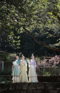 YiTuYu Art Language Vol.7029: Capturing the Beauty of Yu Fang in Art - image 18