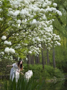 YiTuYu Art Language Vol.6904 Enyyyn - Modern Style and Sophisticated Visual Art - image 20