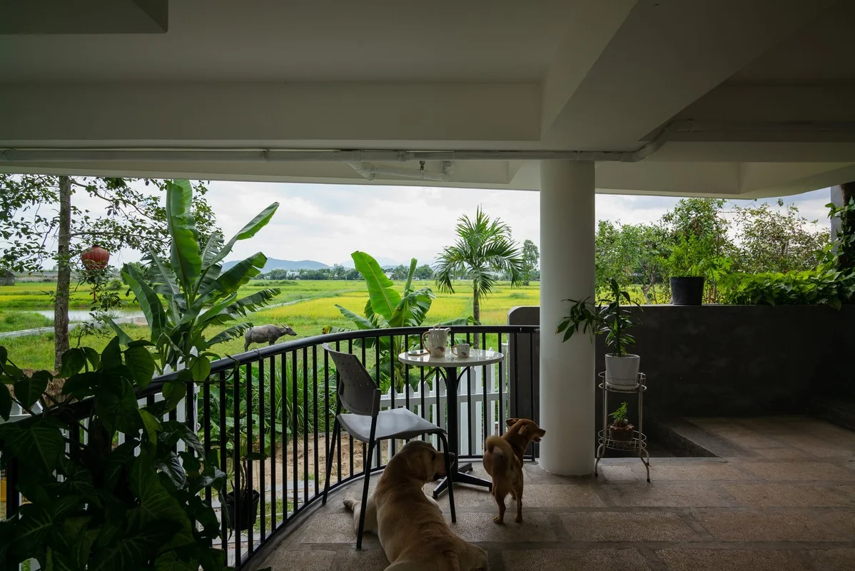 Innovative Flood-Proof Architecture in Da Nang: A New Standard for Climate-Resilient Sustainable Design