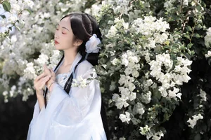 YITUYU Art Language 2023.03.28: Meeting Plum Blossoms with Wanzi - image 7
