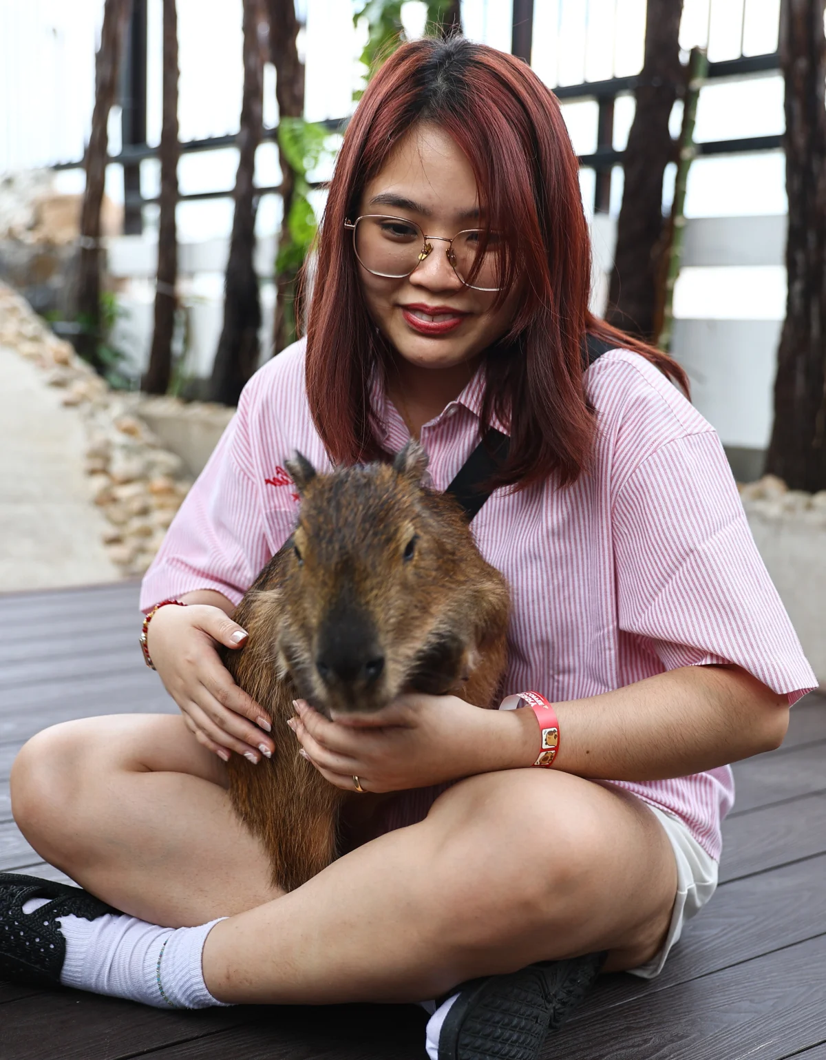 Capybara Cafe Trend Hits Ho Chi Minh City: A Unique Animal Interaction Experience