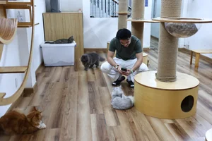 Capybara Cafe Trend Hits Ho Chi Minh City: A Unique Animal Interaction Experience - image 10