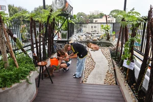 Capybara Cafe Trend Hits Ho Chi Minh City: A Unique Animal Interaction Experience - image 5