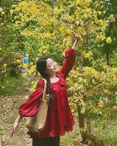 MC Quyền Linh’s Daughter Lọ Lem Captivates Fans with Stunning Tet Giáp Thìn Lunar New Year Photos - image 3