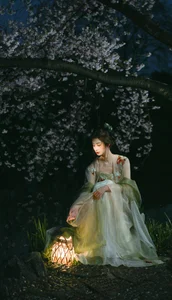 Night Cherry Exploration: Shu Li for YITUYU Art Language - image 15