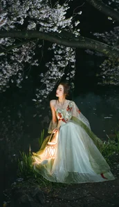 Night Cherry Exploration: Shu Li for YITUYU Art Language - image 11