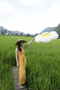 YiTuYu Art Language Vol.5133: A Visual Journey with Chenaling_cl - image 0