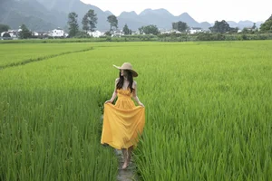 YiTuYu Art Language Vol.5133: A Visual Journey with Chenaling_cl - image 1