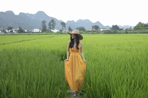 YiTuYu Art Language Vol.5133: A Visual Journey with Chenaling_cl - image 2