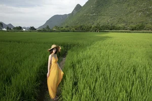 YiTuYu Art Language Vol.5133: A Visual Journey with Chenaling_cl - image 21