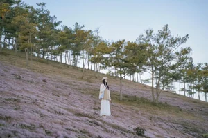 Smart Travel Planning: Discovering Vietnam’s Best Combined Destinations for an Unforgettable Vacation - image 4
