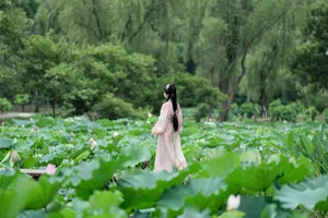 YiTuYu Art Language Vol.7510: The Essence of Spring - image 5