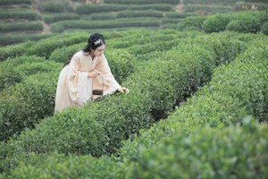 YiTuYu Art Language Vol.4580 Featuring Zhi Xiu: A Masterpiece of Aesthetic Portraiture - image 19