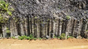 Remarkable Columnar Basalt Formations Discovered in Quang Nam - image 5