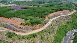 Remarkable Columnar Basalt Formations Discovered in Quang Nam - image 6