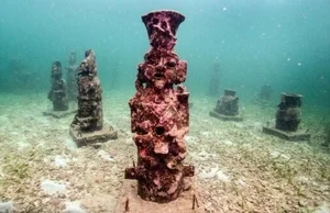 Restoring the Blue: The Innovative Coral Reef Reconstruction Project Transforming the Caribbean Sea Ecosystem - image 3