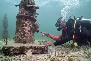 Restoring the Blue: The Innovative Coral Reef Reconstruction Project Transforming the Caribbean Sea Ecosystem - image 4
