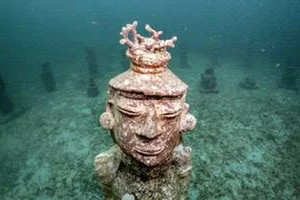 Restoring the Blue: The Innovative Coral Reef Reconstruction Project Transforming the Caribbean Sea Ecosystem - image 6