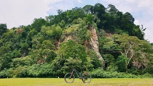 Discover the Magic of Singapore: A Multi-Experience Destination for Every Traveler - image 2