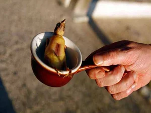 The Dark Side of Luxury: Uncovering the Disturbing Truth Behind High-End Exotic Banquets - image 4