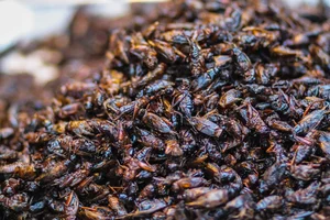 Exploring Japan's Unique Flavors: From Fermented Soybeans to Exotic Delicacies and Acquired Tastes - image 5