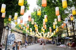 Hanoi's Iconic 'Check-in Trees' Before and After the Storm - image 2