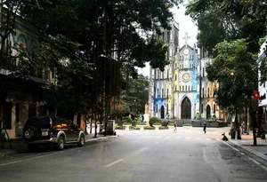 Hanoi's Iconic 'Check-in Trees' Before and After the Storm - image 9