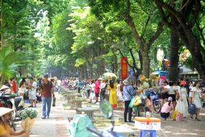 Hanoi's Iconic 'Check-in Trees' Before and After the Storm - image 10