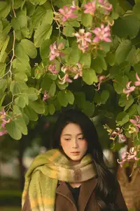 Discover the Serene Natural Beauty of an Asian Girl in a Warm Golden Hour Portrait 1047274 - image 1