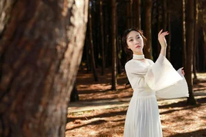 The Visual Poetry of Yu Yan in Art Language Vol.6055 - image 5