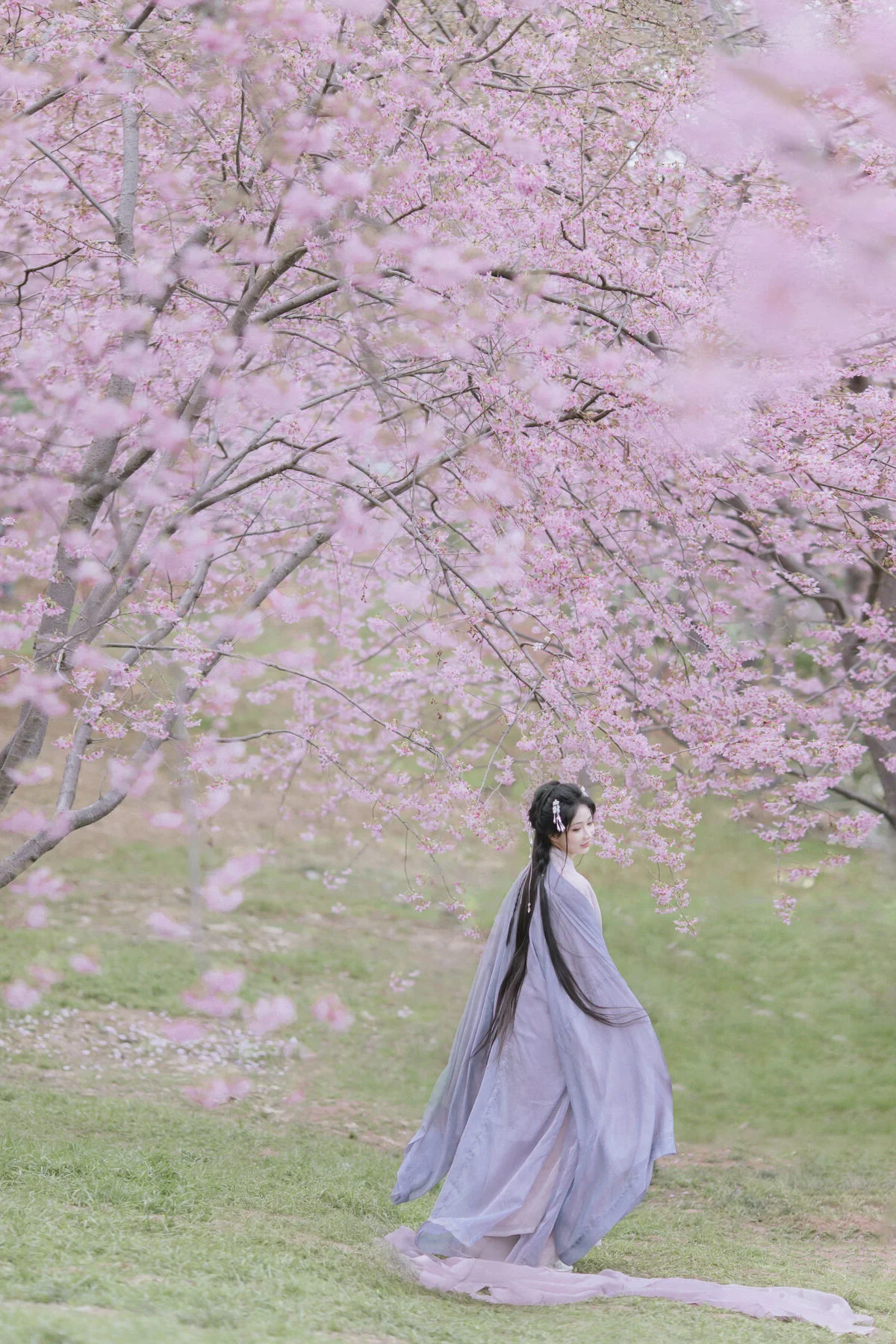 Ethereal Beauty: Qi Luo Sheng De Xiao Su Su Amidst Cherry Blossoms - YiTuYu Vol.8793