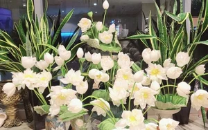 Inside the Stunning Flower-Filled Home of Famous Actor Manh Truong - image 0