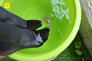 IESS Nth Fantasy Series Neighbor Borrowing Water Volume 2 - image 13
