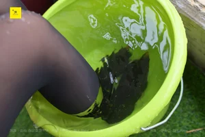 IESS Nth Fantasy Series Neighbor Borrowing Water Volume 2 - image 59