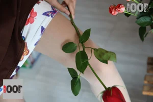 IESS One Thousand and One Nights Strawberry Florist 1 - image 16