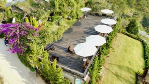 Must-Visit Trendy Cafes in Vietnam’s Top Tourist Destinations for Spring 2024 - image 5